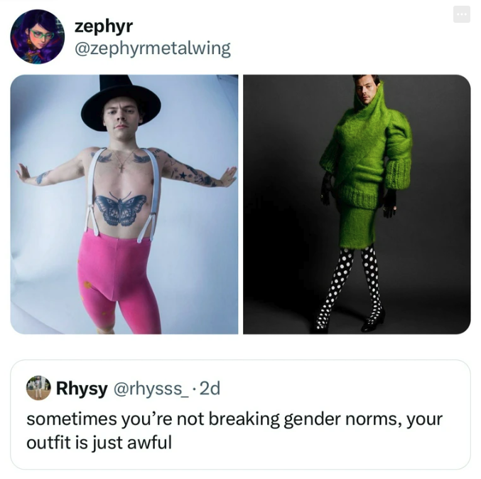 Meme - zephyr Rhysy 2d sometimes you're not breaking gender norms, your outfit is just awful