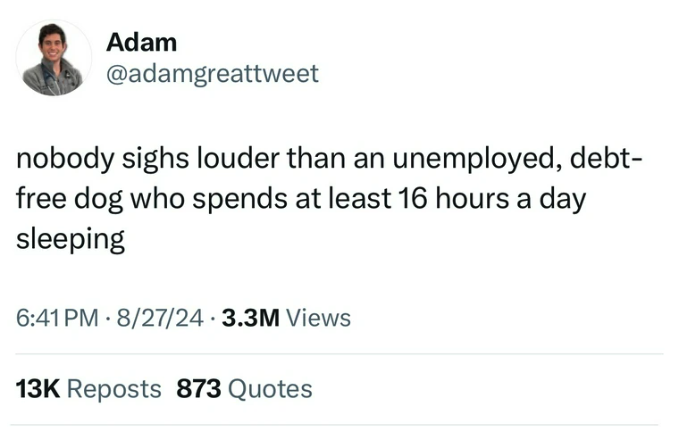 screenshot - Adam nobody sighs louder than an unemployed, debt free dog who spends at least 16 hours a day sleeping 82724 3.3M Views 13K Reposts 873 Quotes