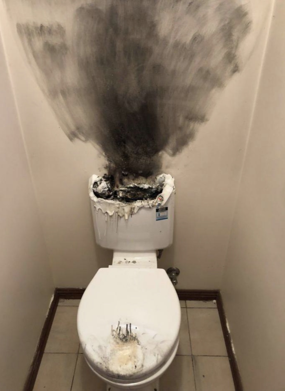 toilet after taco bell