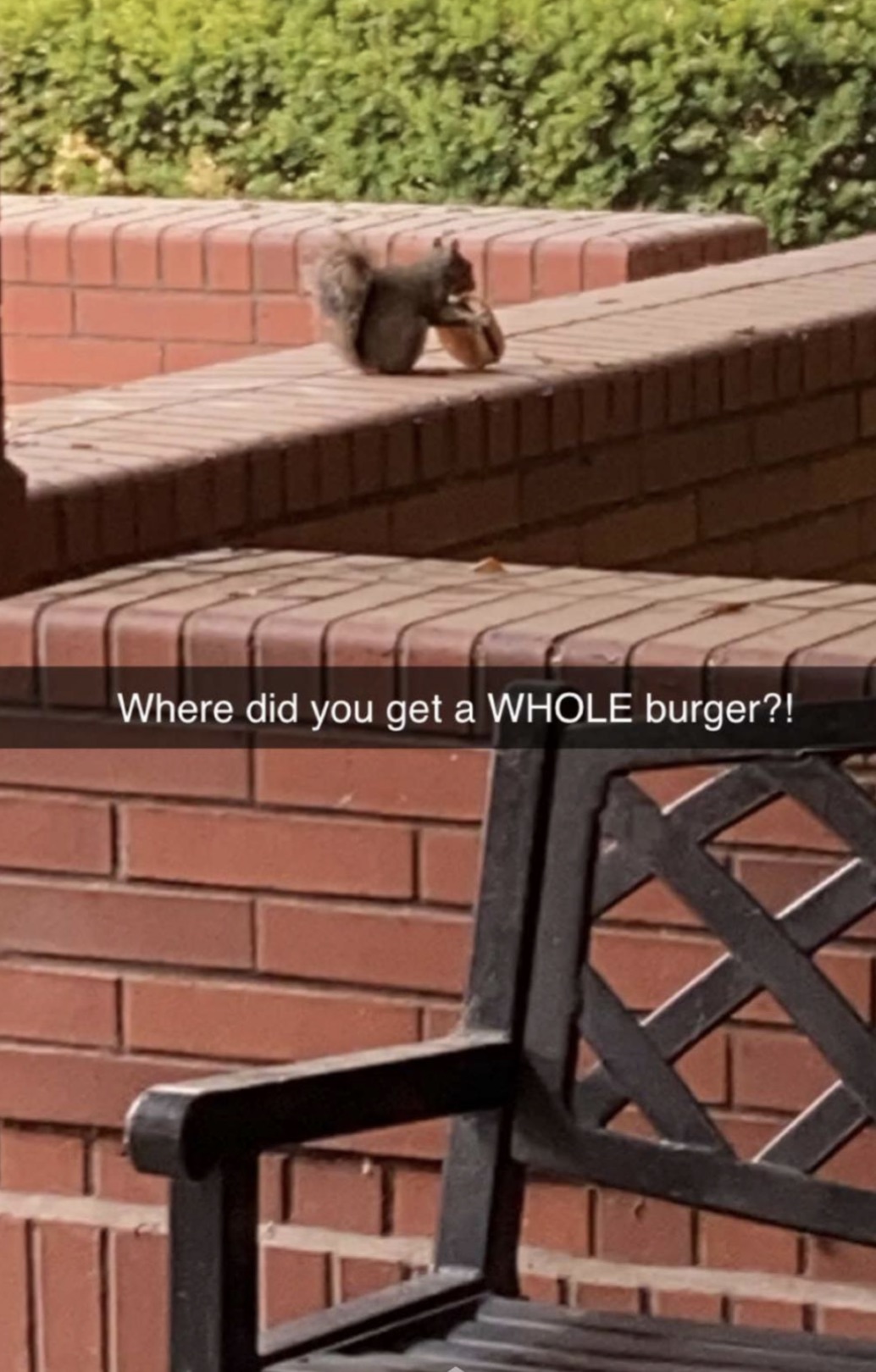 brickwork - Where did you get a Whole burger?!