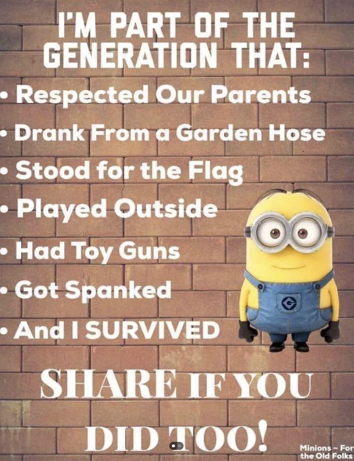 boomer minion meme - I'M Part Of The Generation That Respected Our Parents Drank From a Garden Hose Stood for the Flag Played Outside Had Toy Guns Got Spanked And I Survived If You Did Too! Minions For the Old Folks