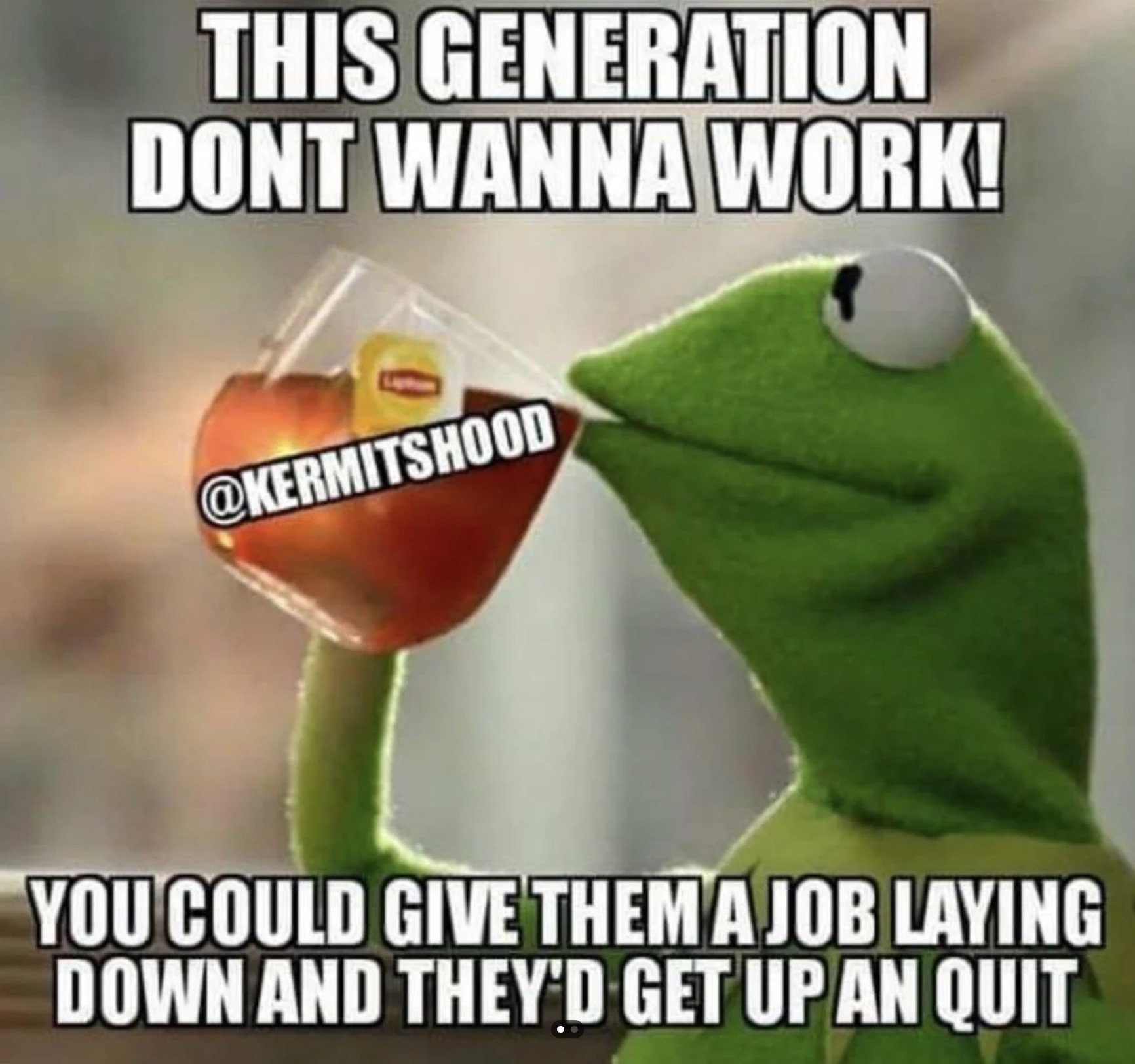 true frog - This Generation Dont Wanna Work! You Could Give Them A Job Laying Down And They'D Get Up An Quit