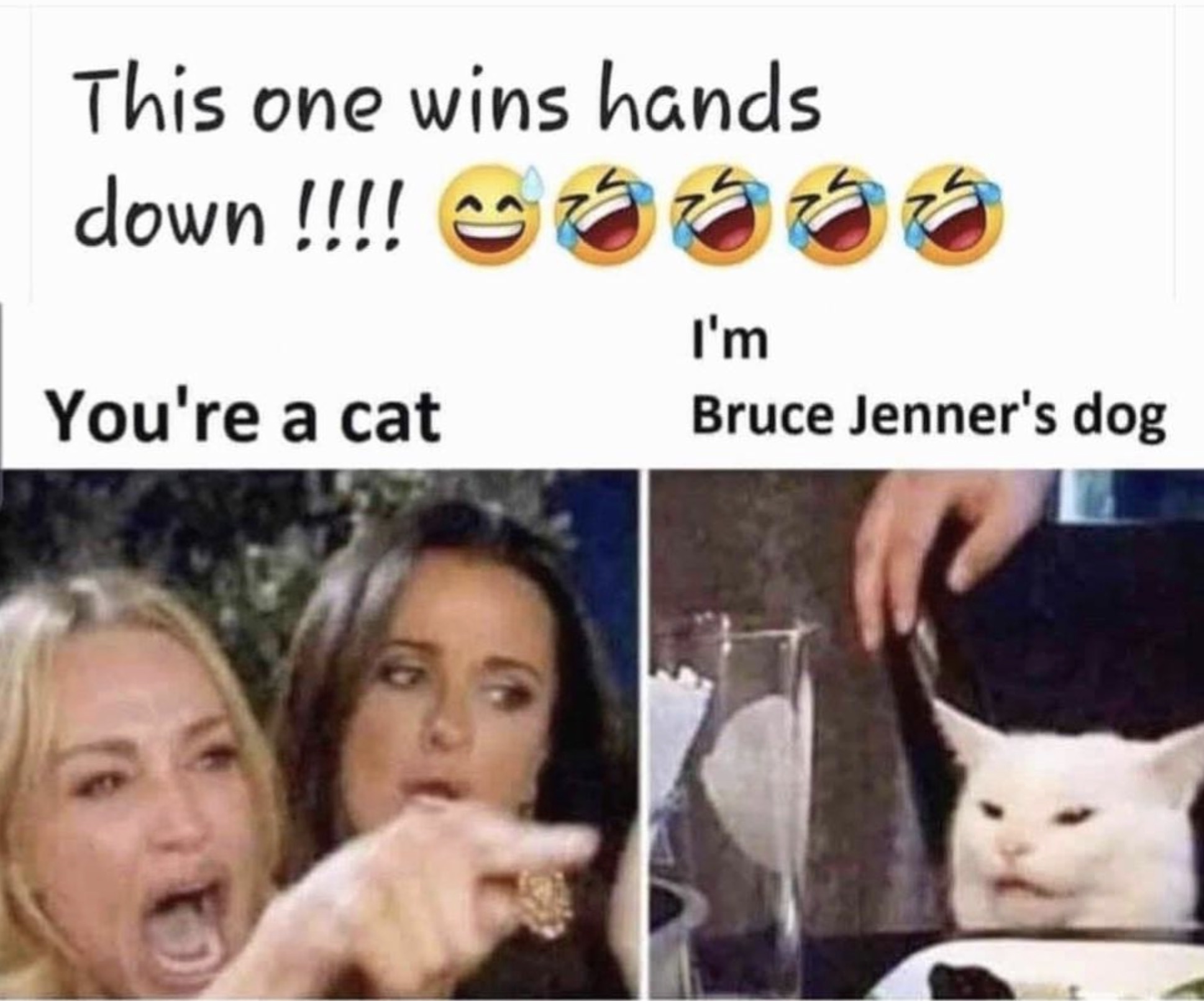 woman king memes - This one wins hands down !!!! I'm You're a cat Bruce Jenner's dog