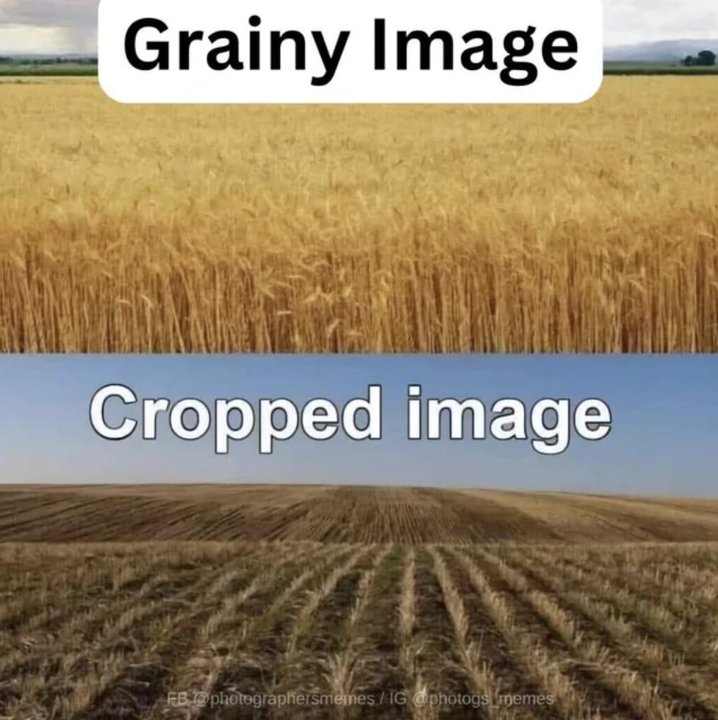 wheat meme - Grainy Image Cropped image Eb photographersmenesIg photogs memes