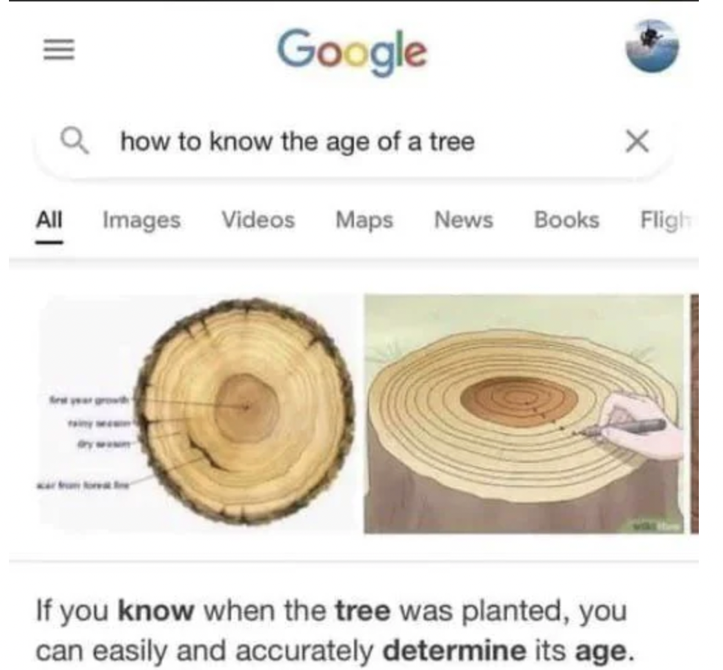 yellow headed blackbird meme - Google Qhow to know the age of a tree All Images Videos Maps News Books Fligh If you know when the tree was planted, you can easily and accurately determine its age.