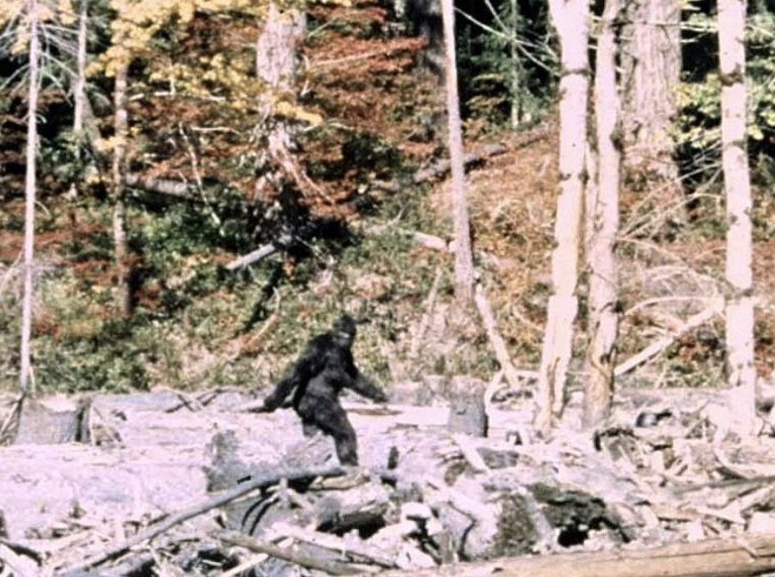 Patterson–Gimlin film