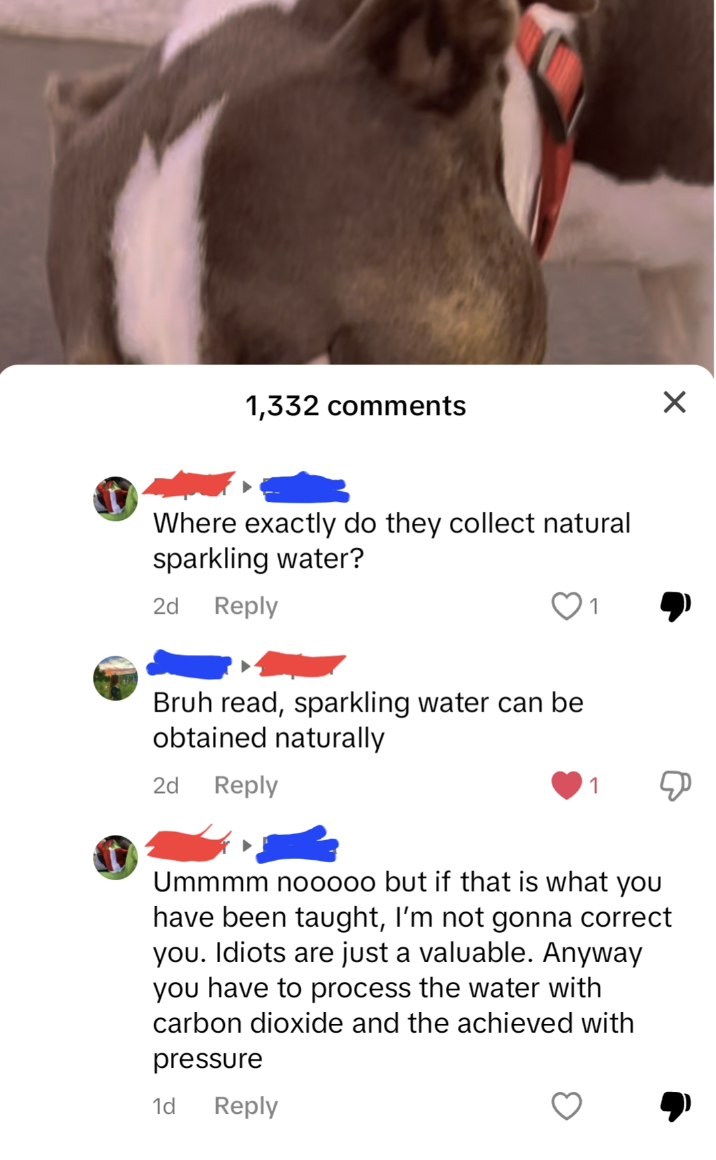 american pit bull terrier - 1,332 Where exactly do they collect natural sparkling water? 2d Bruh read, sparkling water can be obtained naturally 2d Ummmm nooooo but if that is what you have been taught, I'm not gonna correct you. Idiots are just a valuabl