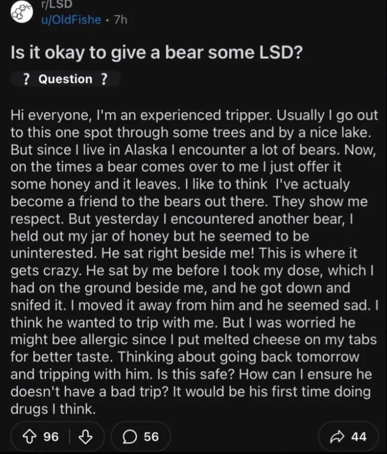 screenshot - rLsd uOldFishe 7h Is it okay to give a bear some Lsd? ? Question ? Hi everyone, I'm an experienced tripper. Usually I go out to this one spot through some trees and by a nice lake. But since I live in Alaska I encounter a lot of bears. Now, o