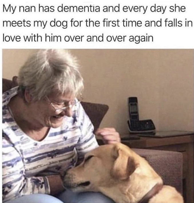 grandma dog meme - My nan has dementia and every day she meets my dog for the first time and falls in love with him over and over again