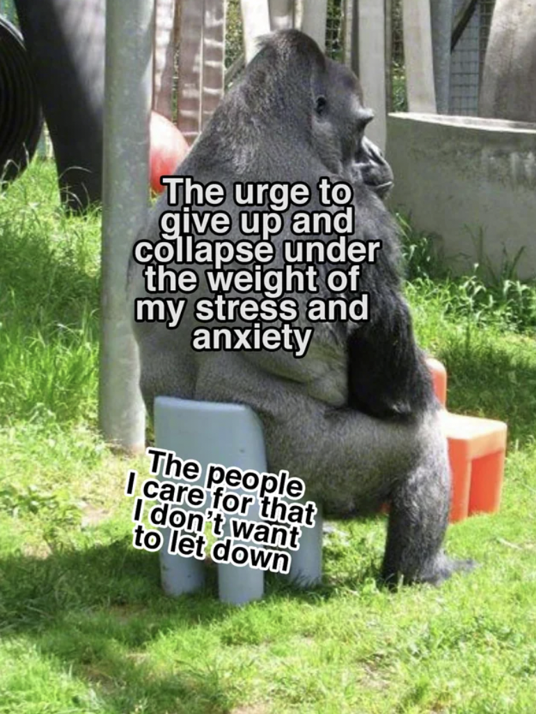 gorilla sitting meme - The urge to give up and collapse under the weight of my stress and anxiety The people I care for that I don't want to let down