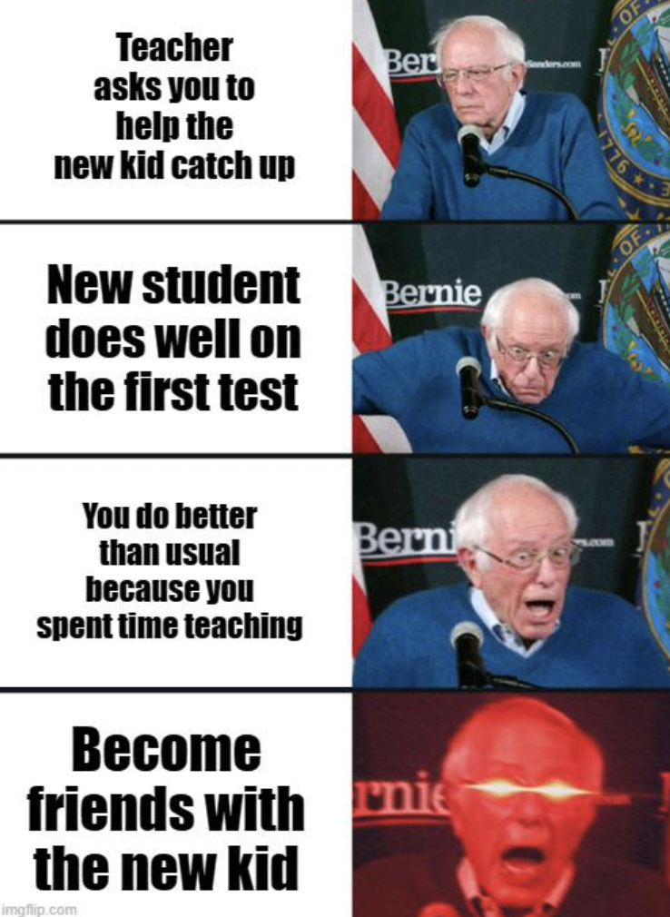 minecraft memes 2023 - Teacher asks you to help the new kid catch up Ber New student Bernie does well on the first test You do better than usual Bern because you spent time teaching Become friends with nie the new kid Of