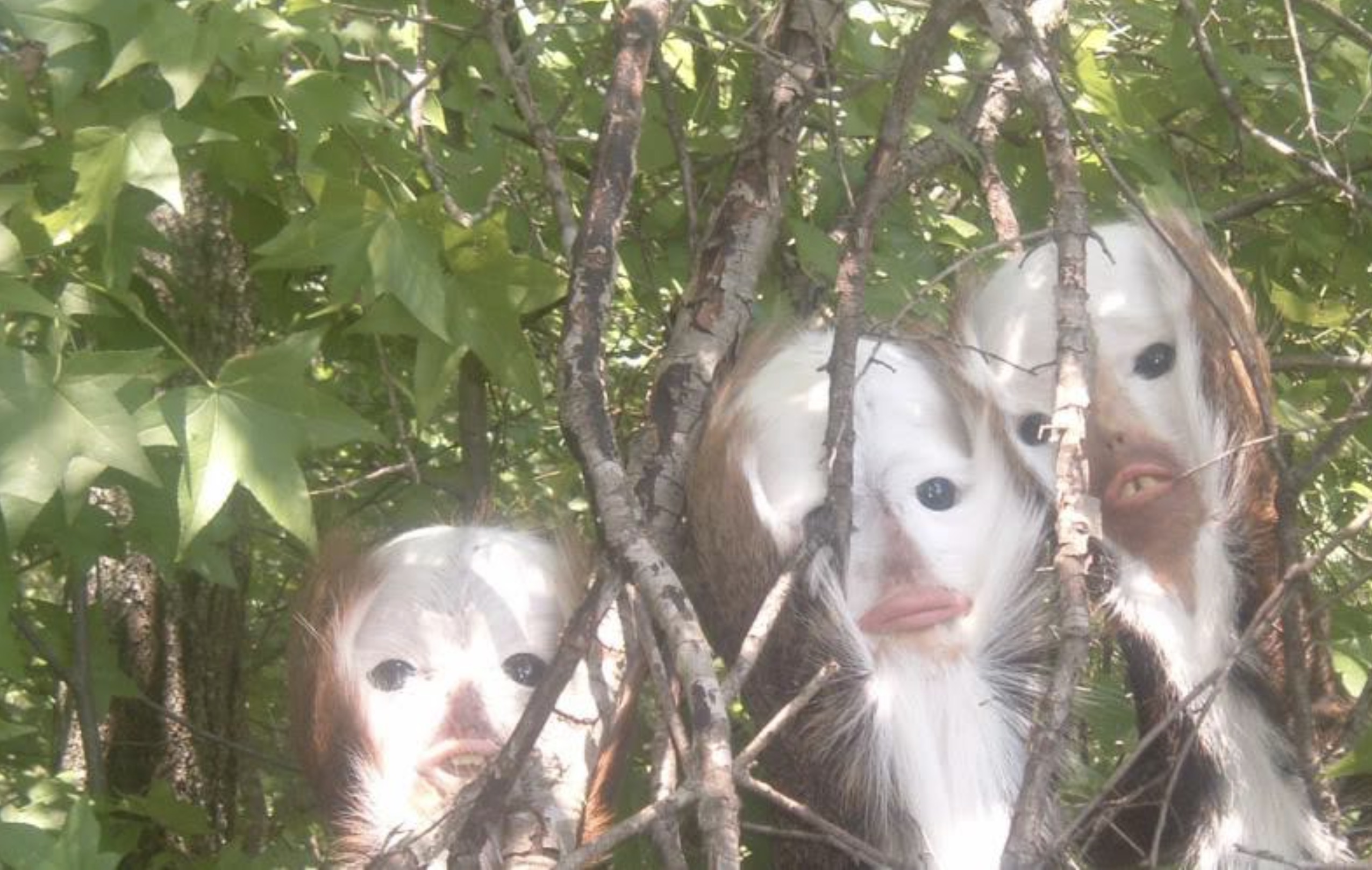 35 Creepy and Cursed Randoms to Watch You While You Sleep