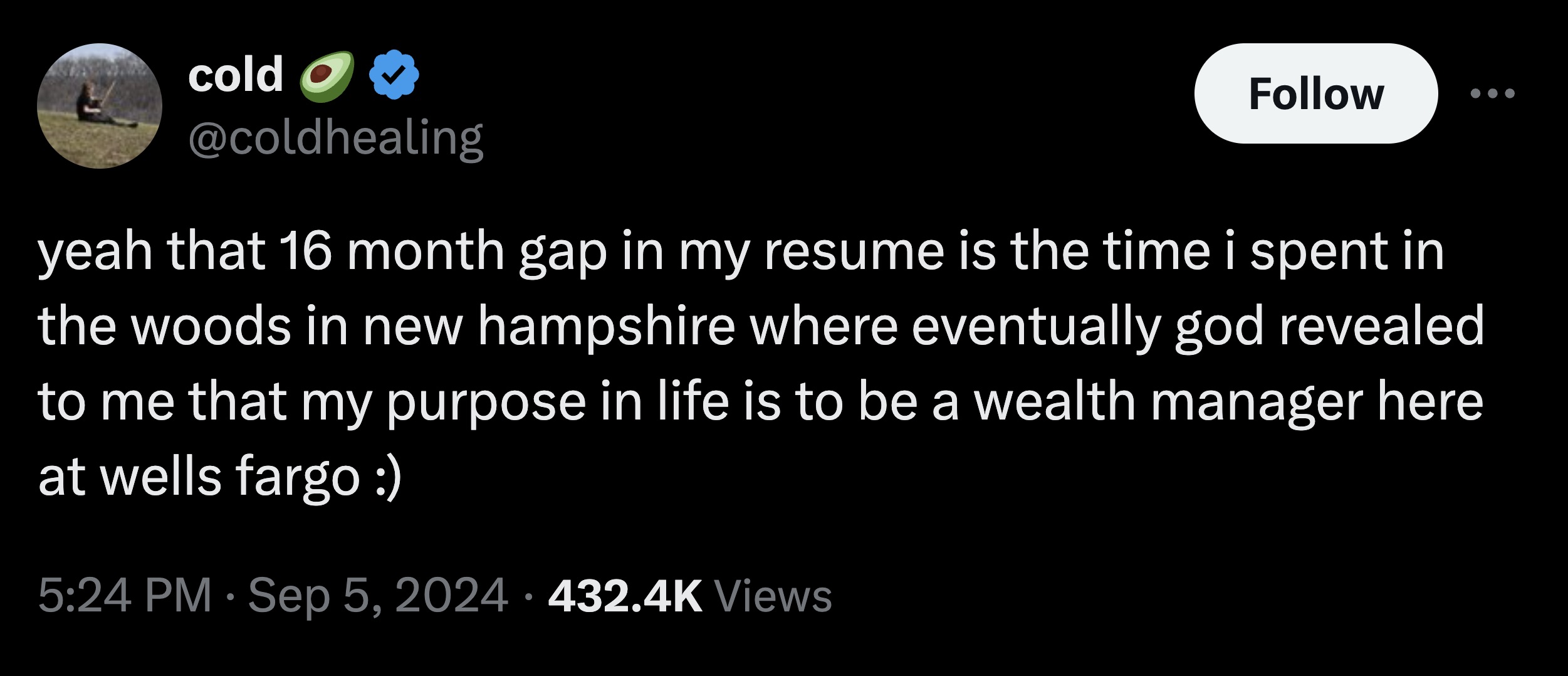 screenshot - cold o yeah that 16 month gap in my resume is the time i spent in the woods in new hampshire where eventually god revealed to me that my purpose in life is to be a wealth manager here at wells fargo . Views