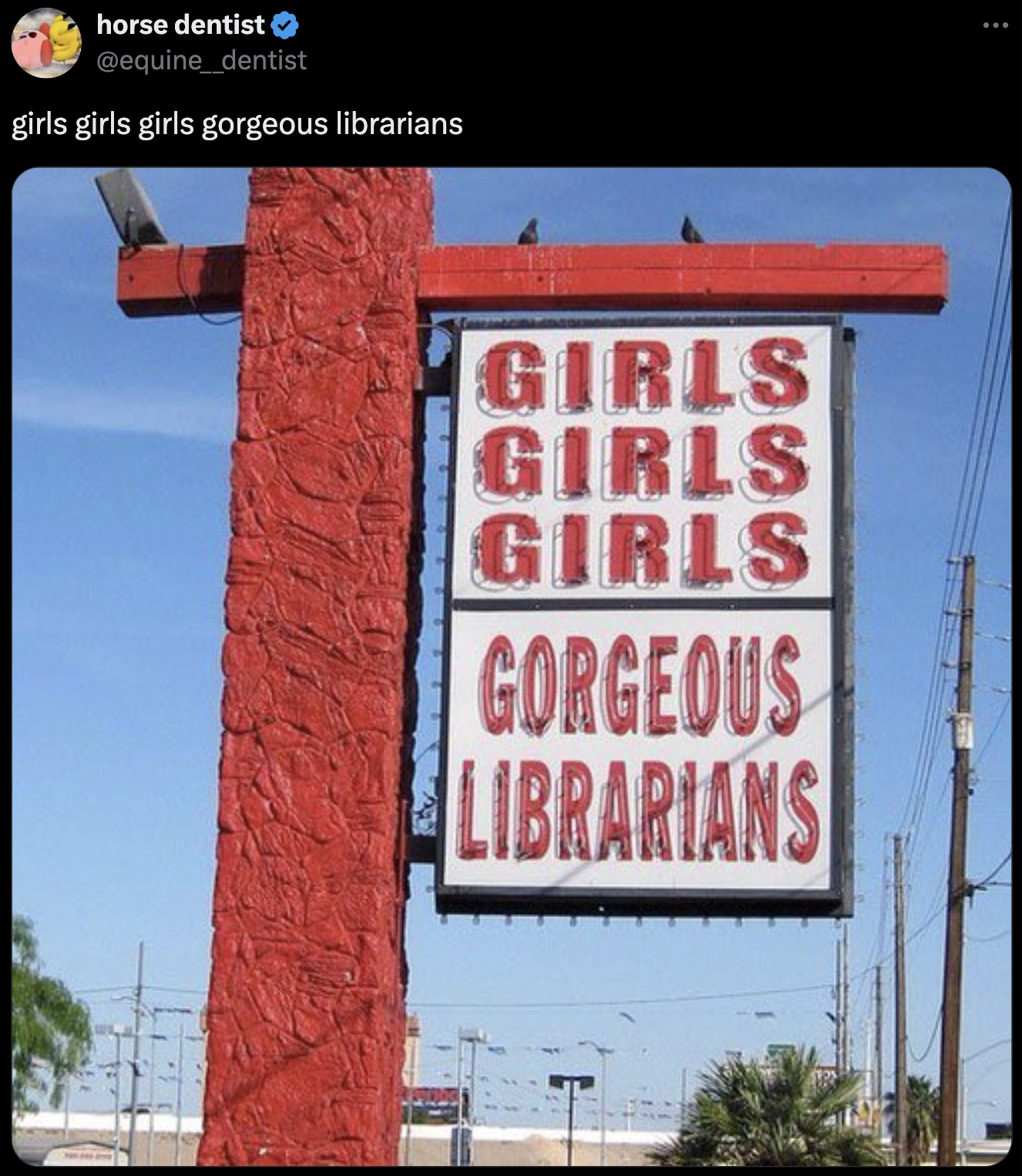 banner - horse dentist girls girls girls gorgeous librarians Girls Girls Girls Gorgeous Librarians