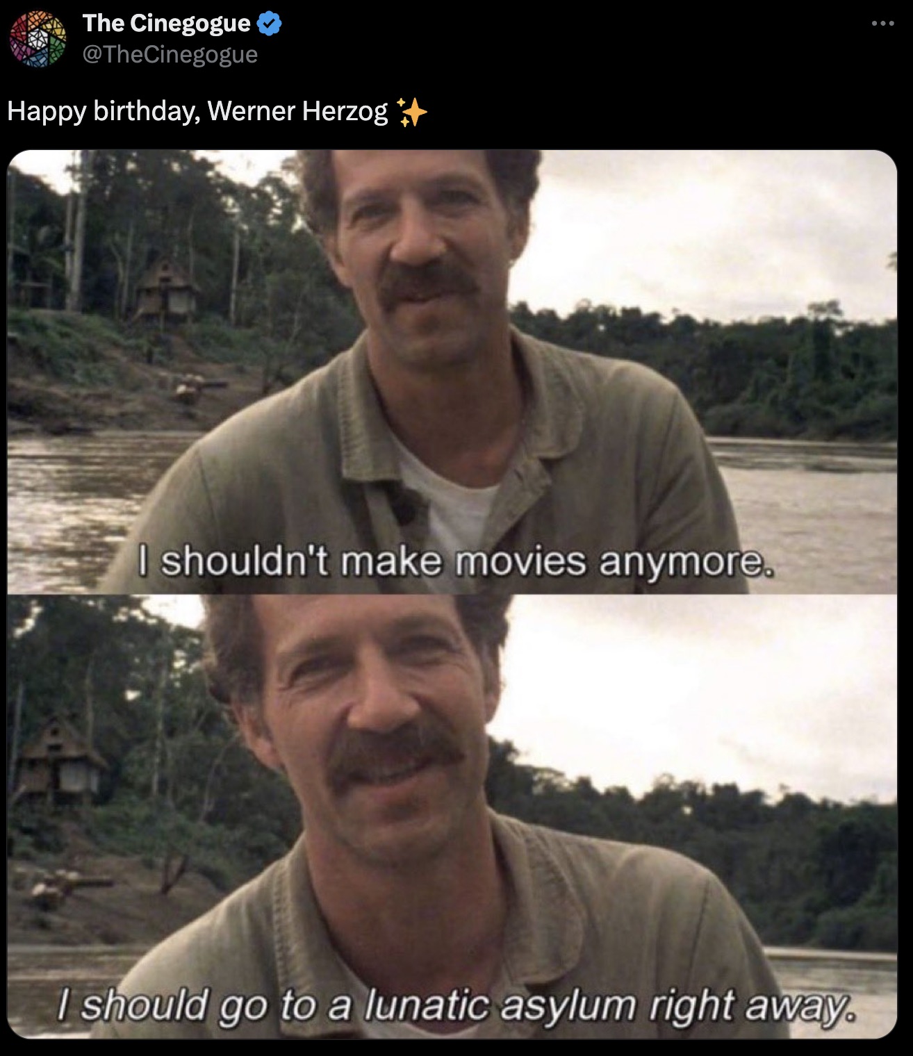 photo caption - The Cinegogue Happy birthday, Werner Herzog I shouldn't make movies anymore. I should go to a lunatic asylum right away.