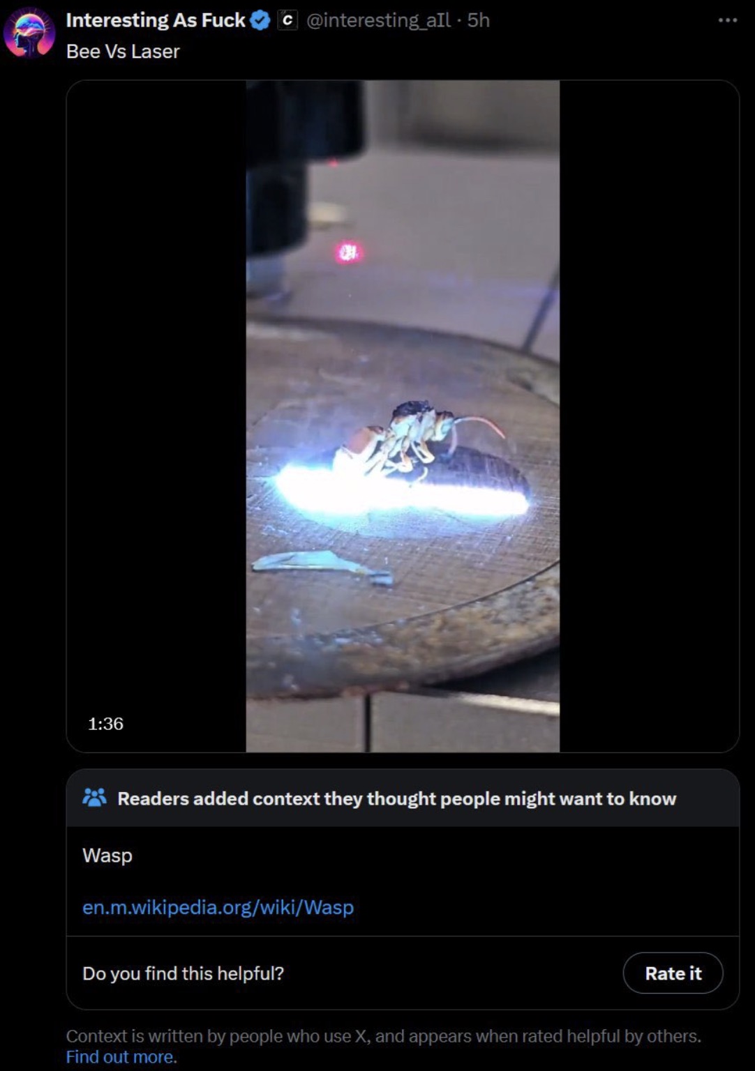 screenshot - Interesting As Fuck Bee Vs Laser c 5h Readers added context they thought people might want to know Wasp en.m.wikipedia.orgwikiWasp Do you find this helpful? Rate it Context is written by people who use X, and appears when rated helpful by oth