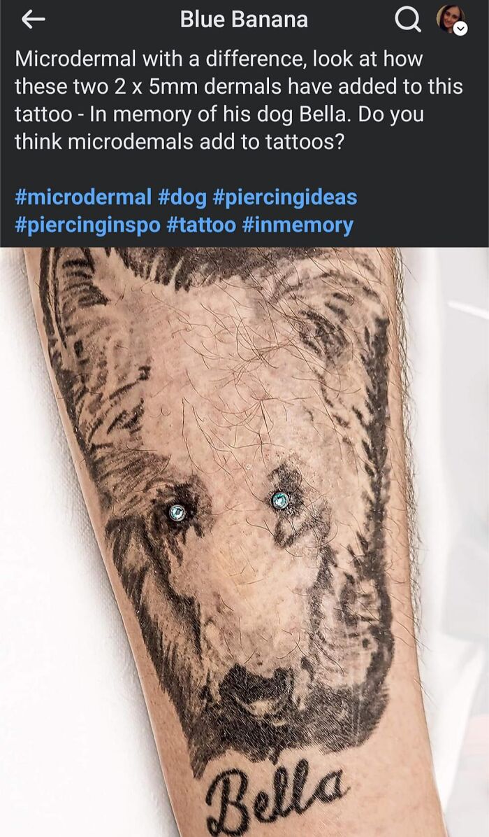 extremely bad tattoos - tattoo - Blue Banana Microdermal with a difference, look at how these two 2 x 5mm dermals have added to this tattoo In memory of his dog Bella. Do you think microdemals add to tattoos? Bella