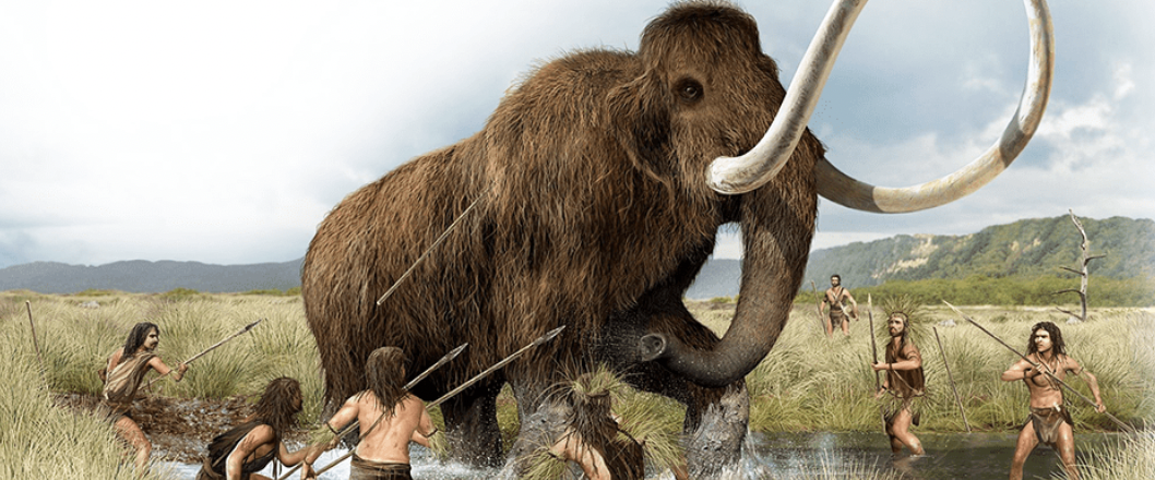 megafauna and humans