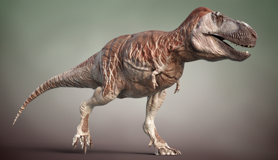 Tyrannosaurus rex