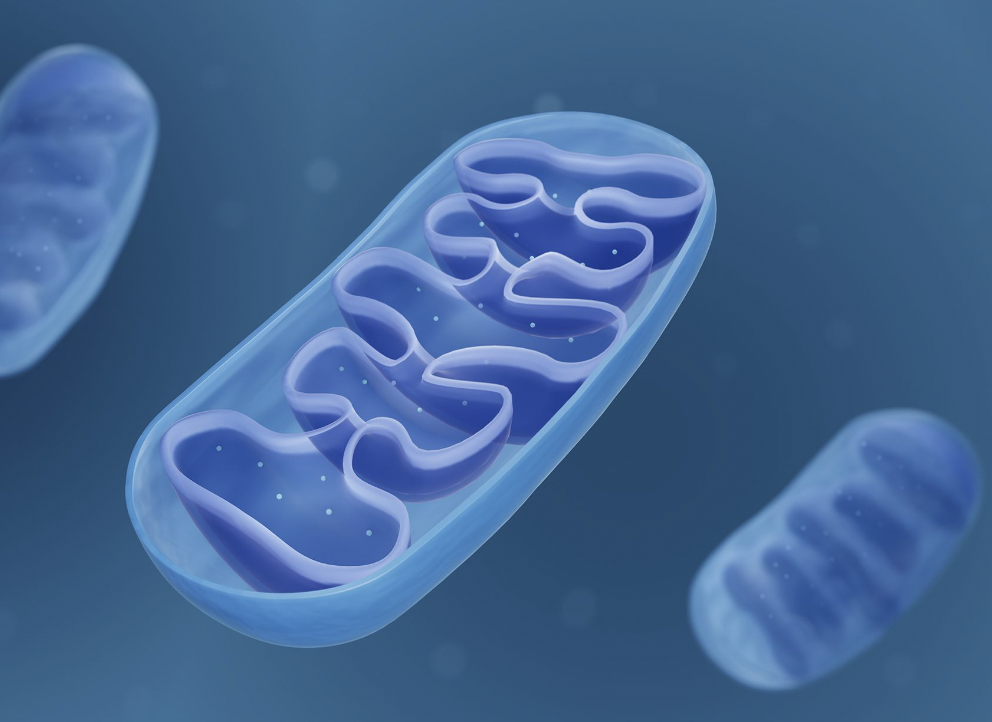 can mitochondrial problems cause alzheimer's disease