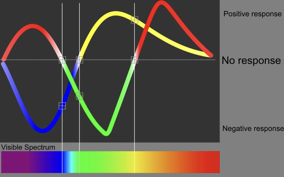 Positive response No response Visible Spectrum Negative response