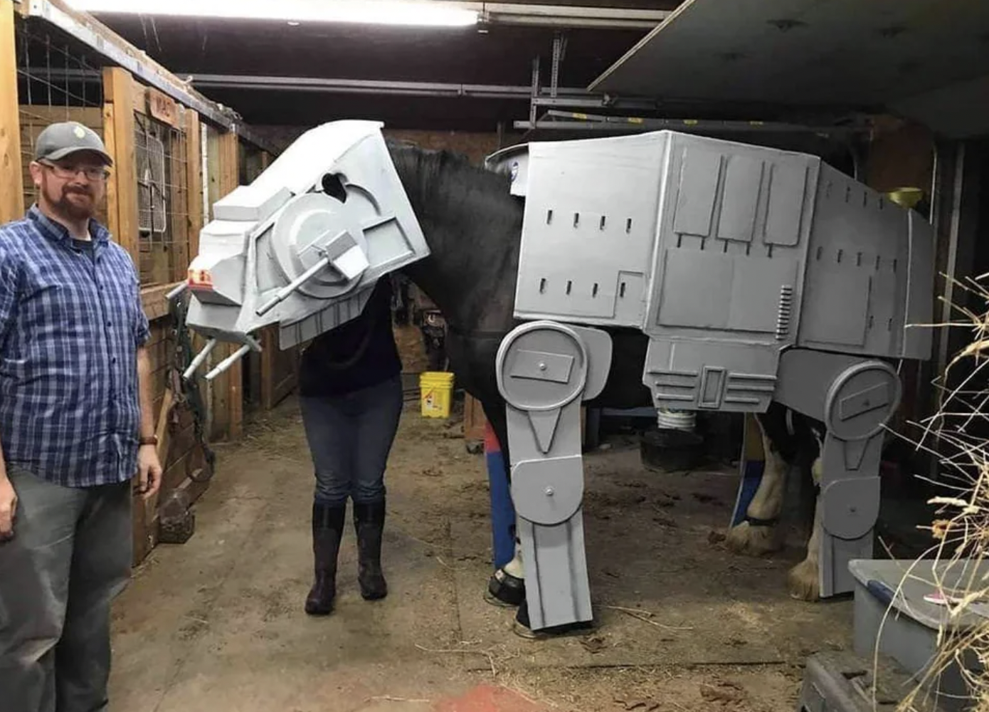 horse with star wars costume - 111