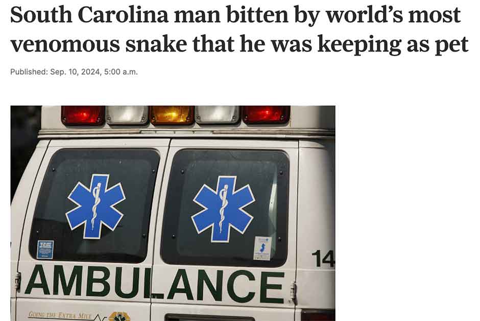 ambulance - South Carolina man bitten by world's most venomous snake that he was keeping as pet Published Sep. 10, 2024, a.m. Ambulance Going The Extra Mile 14