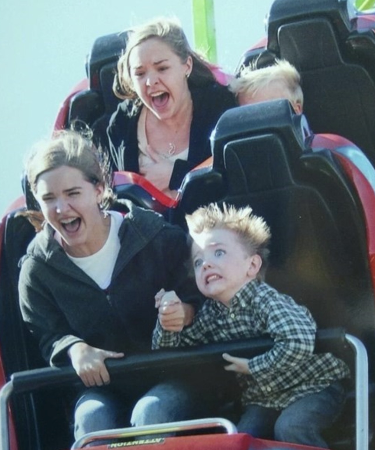 roller coaster funny - Cattention