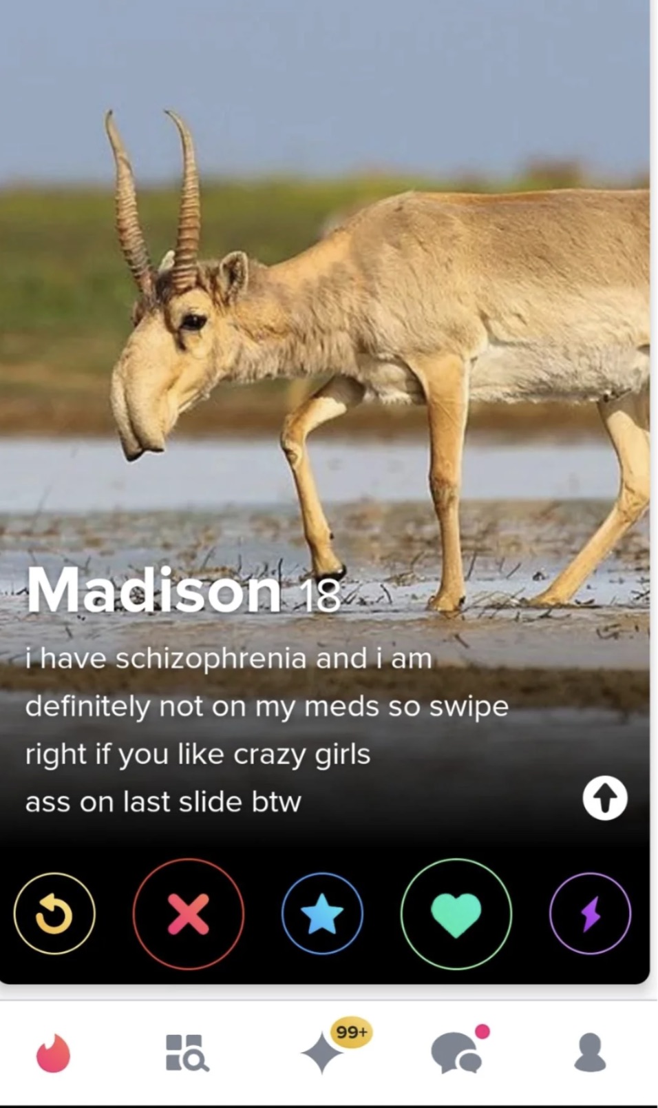 siberian unicorn - Madison 18 i have schizophrenia and i am definitely not on my meds so swipe right if you crazy girls ass on last slide btw 0 Ha 99