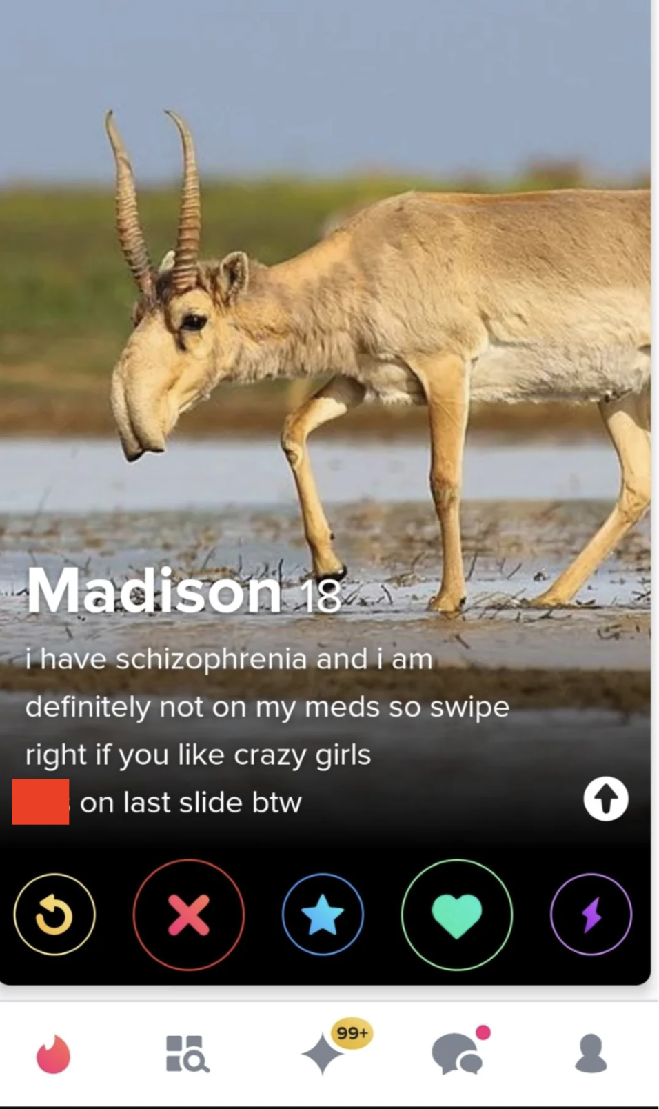 did the siberian unicorn go extinct - Madison 18. I have schizophrenia and I am definitely not on my meds so swipe right if you crazy girls on last slide btw 99