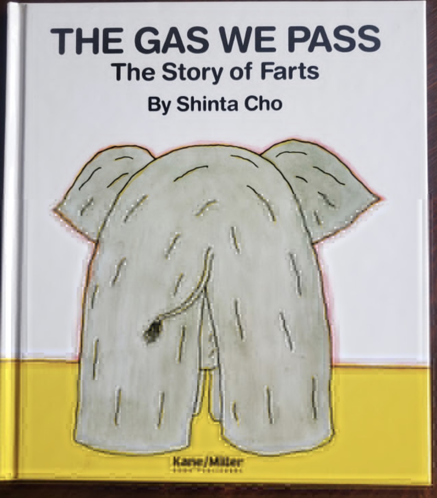 poster - The Gas We Pass The Story of Farts By Shinta Cho KaneMater