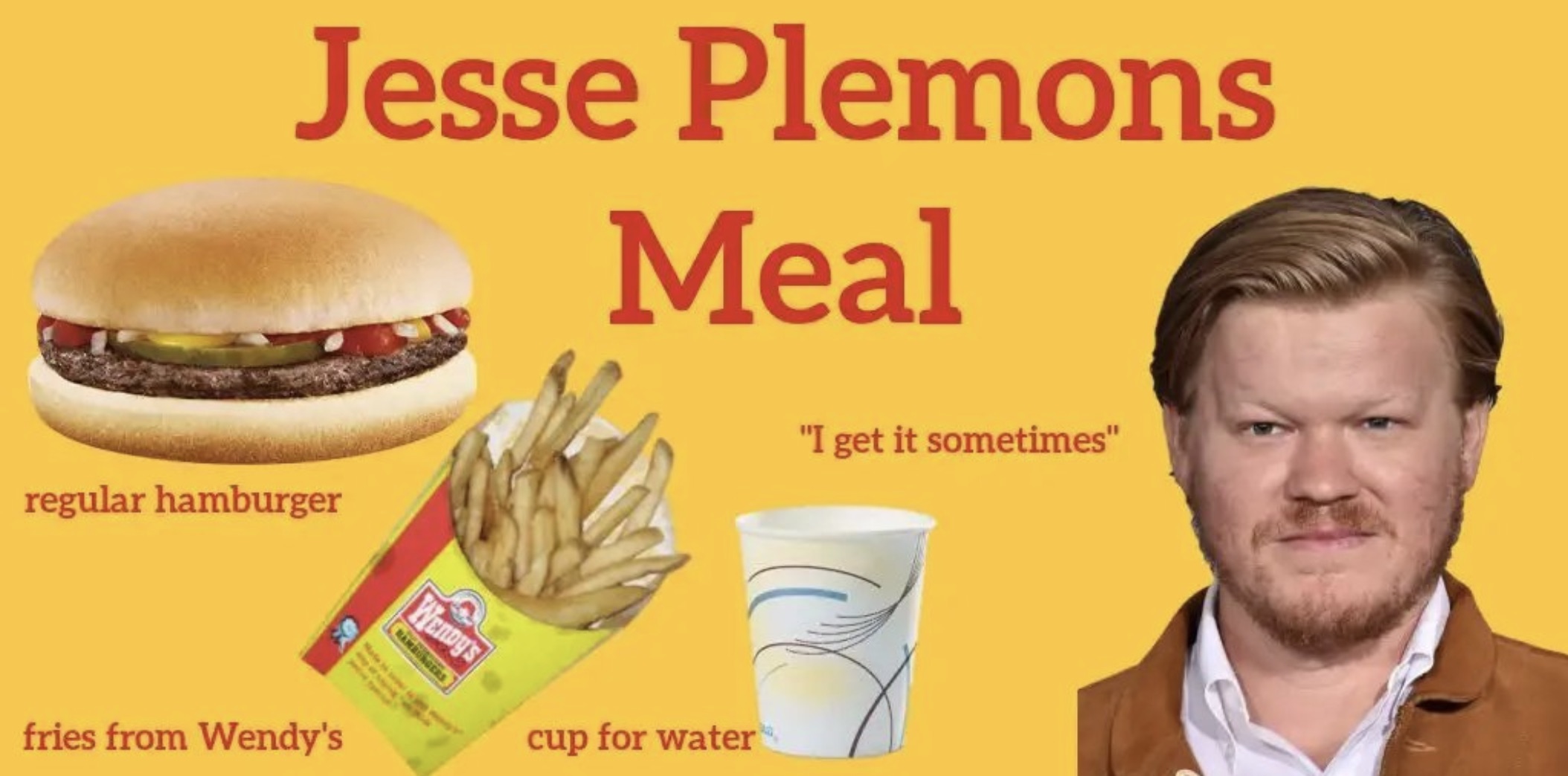 jesse plemons mcdonalds meal - Jesse Plemons Meal regular hamburger fries from Wendy's Wendy's Rungers cup for water "I get it sometimes"