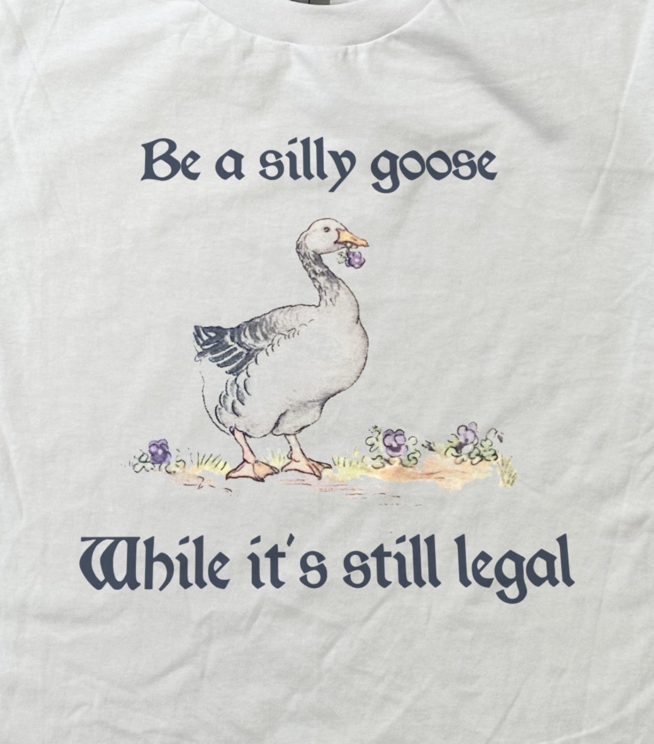 duck - Be a silly goose While it's still legal