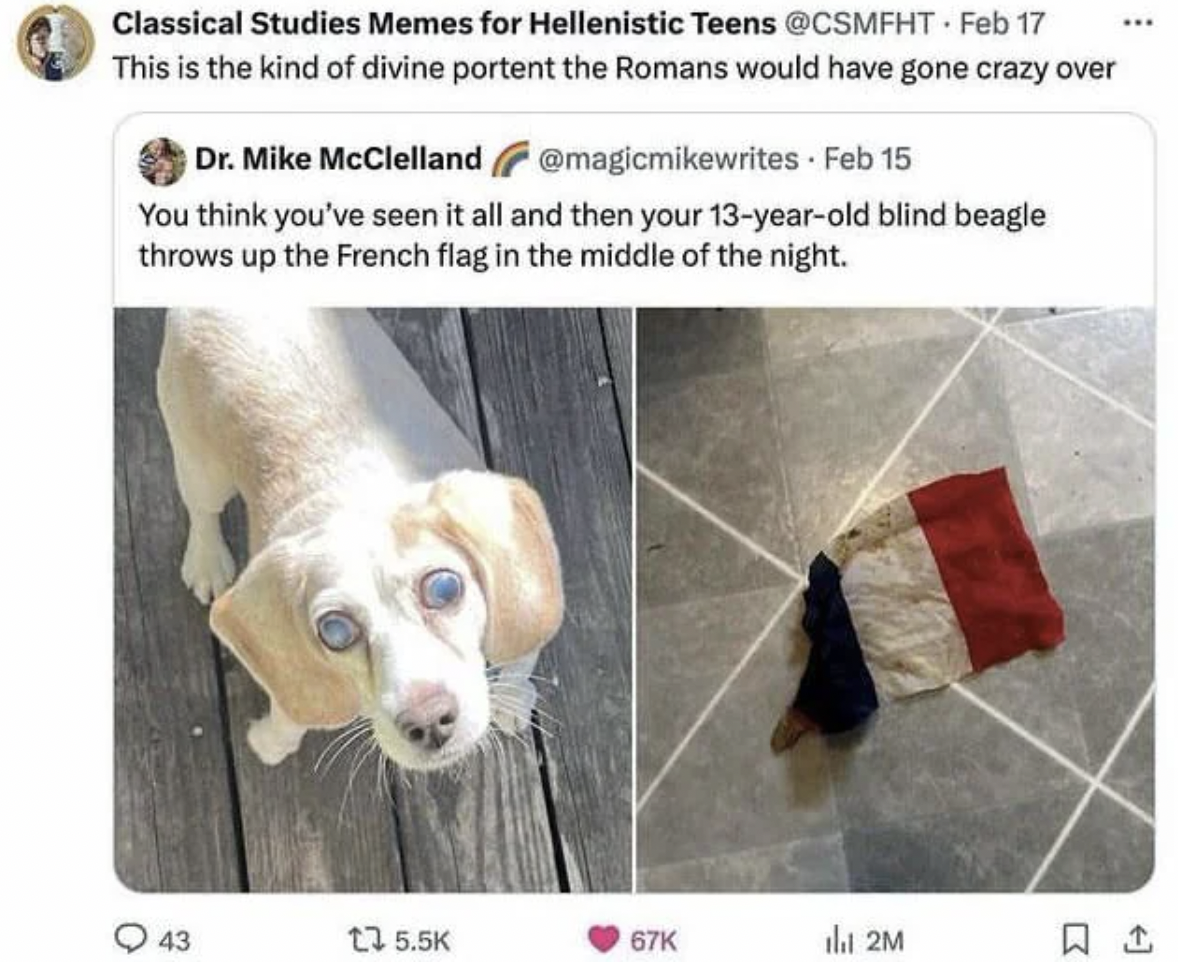 dog throws up french flag - Classical Studies Memes for Hellenistic Teens Feb 17 This is the kind of divine portent the Romans would have gone crazy over Dr. Mike McClelland . Feb 15 You think you've seen it all and then your 13yearold blind beagle throws