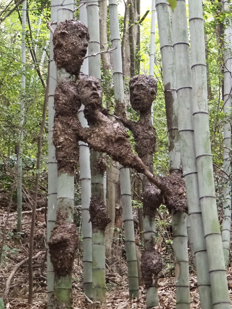 22 Creepy Photos from Deep in the Woods