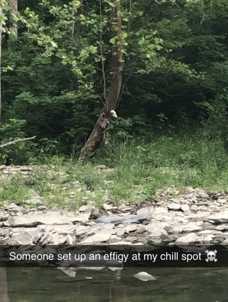 tree - Someone set up an effigy at my chill spot