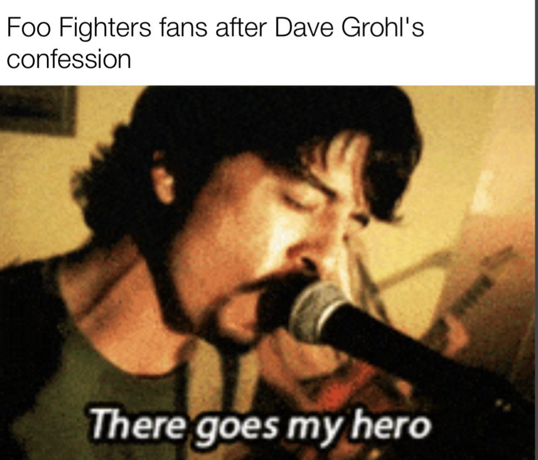 singing - Foo Fighters fans after Dave Grohl's confession There goes my hero