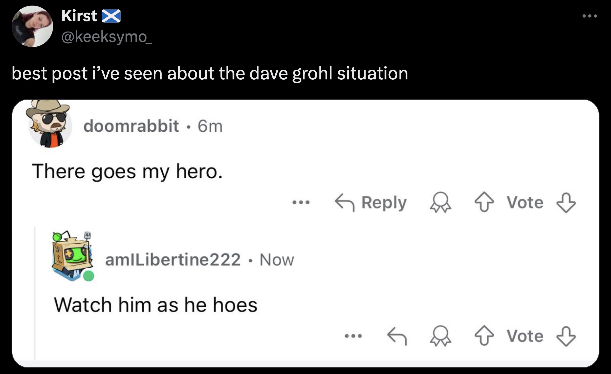 screenshot - Kirst best post i've seen about the dave grohl situation doomrabbit 6m There goes my hero. amlLibertine222. Now Watch him as he hoes. Vote 6 Vote