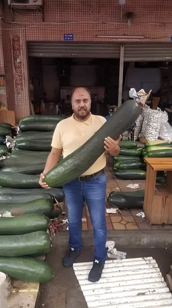 world's largest cucumber