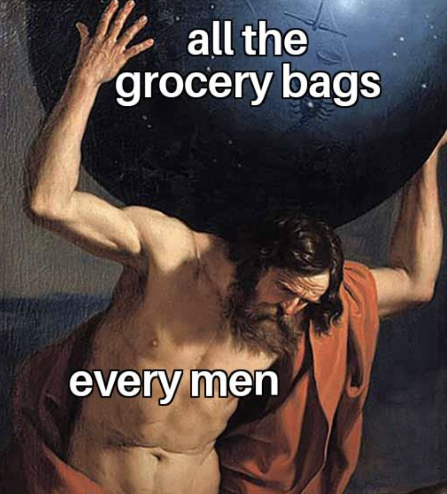 consulting powerpoint memes - all the grocery bags every men