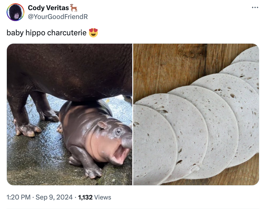 hippopotamus - Cody Veritas baby hippo charcuterie 1,132 Views