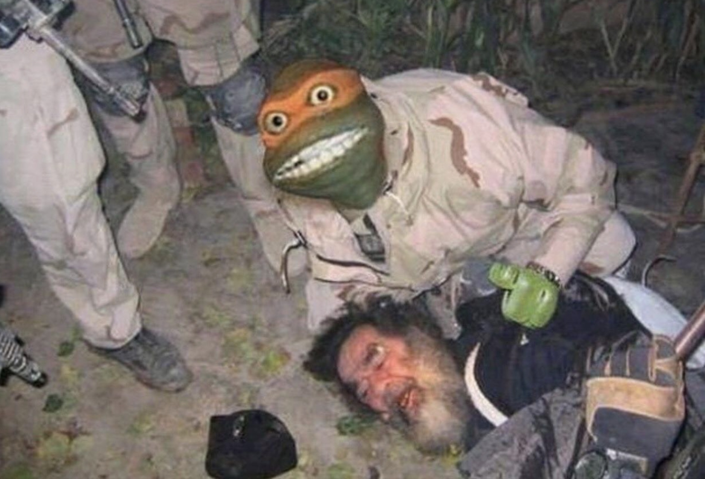 cursed turtles