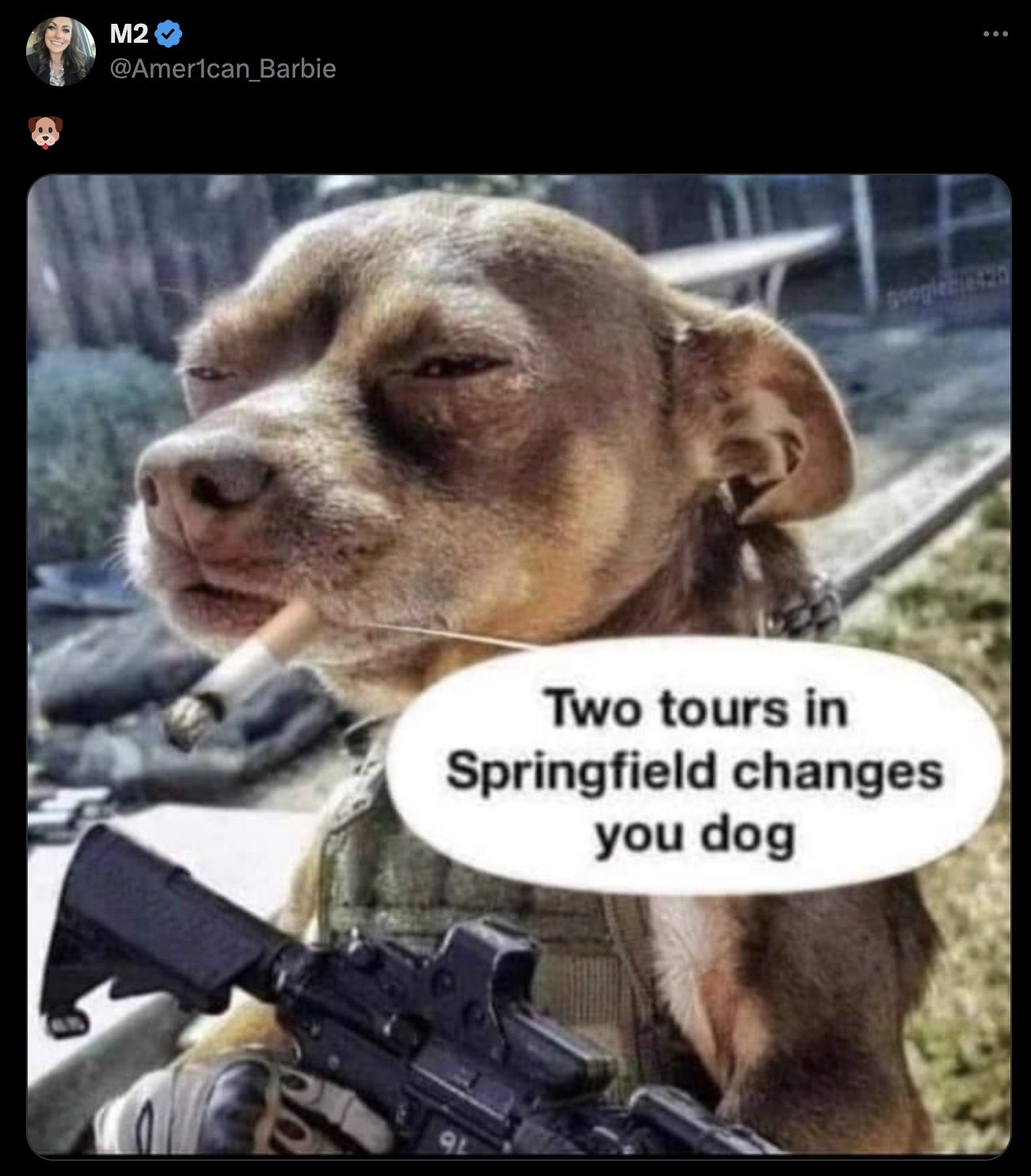 my dog when someone knocks on the door meme - M2 googleble420 Two tours in Springfield changes you dog 9L