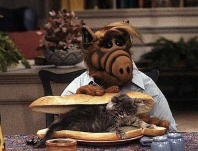 alf and cat