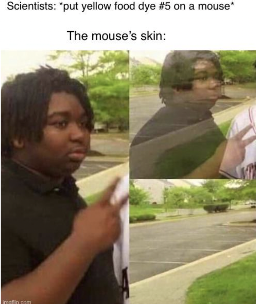 vanish into thin air meme - Scientists put yellow food dye on a mouse The mouse's skin imati.com