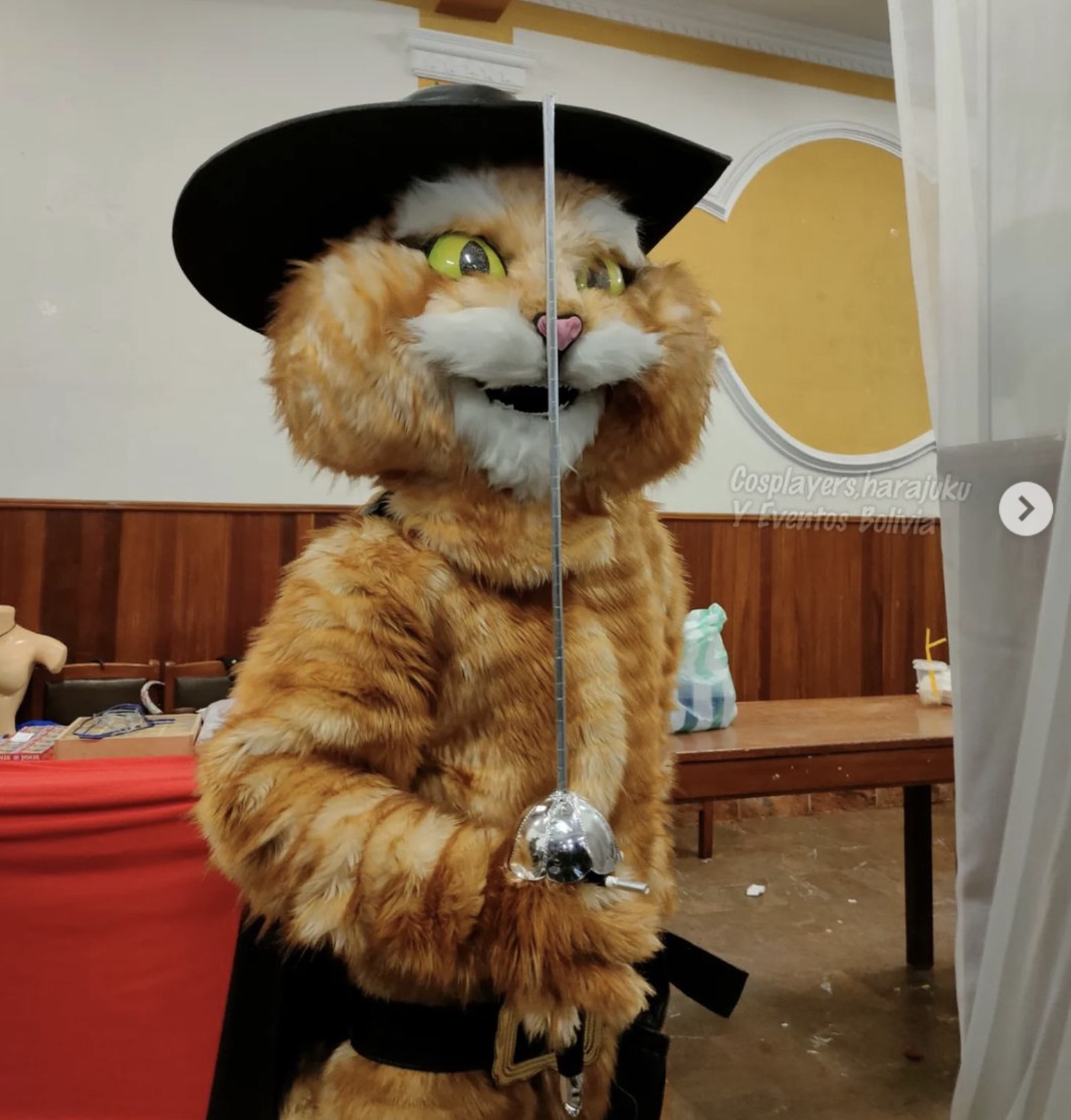 cat - Cosplayers harajuku Y Eventos Polivia >