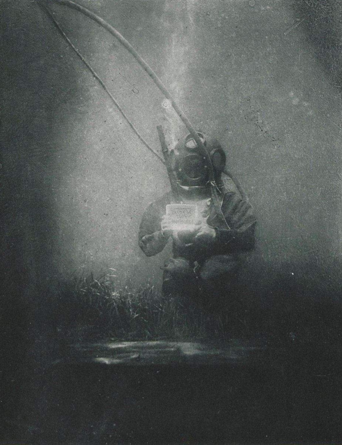 early underwater photography