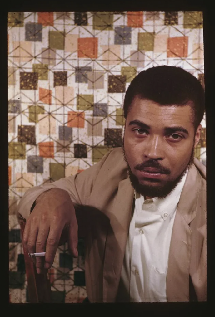 carl van vechten harlem in color