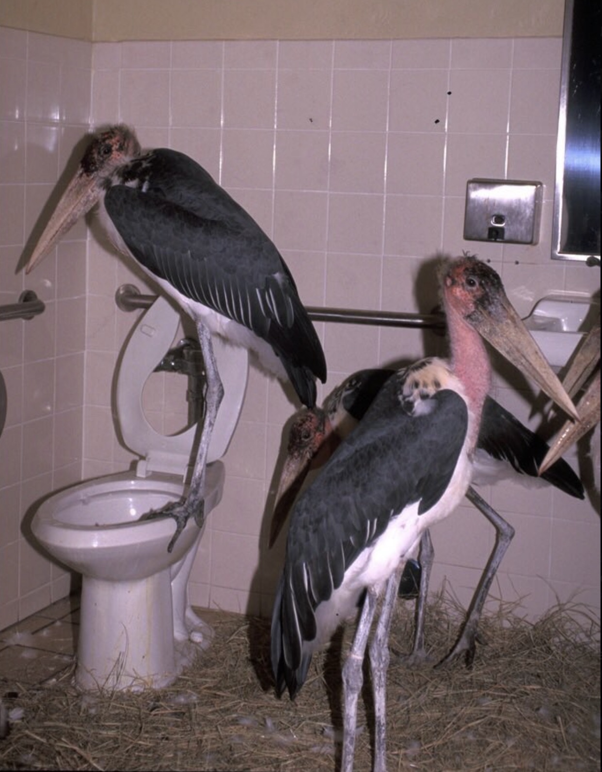 cursed bathroom