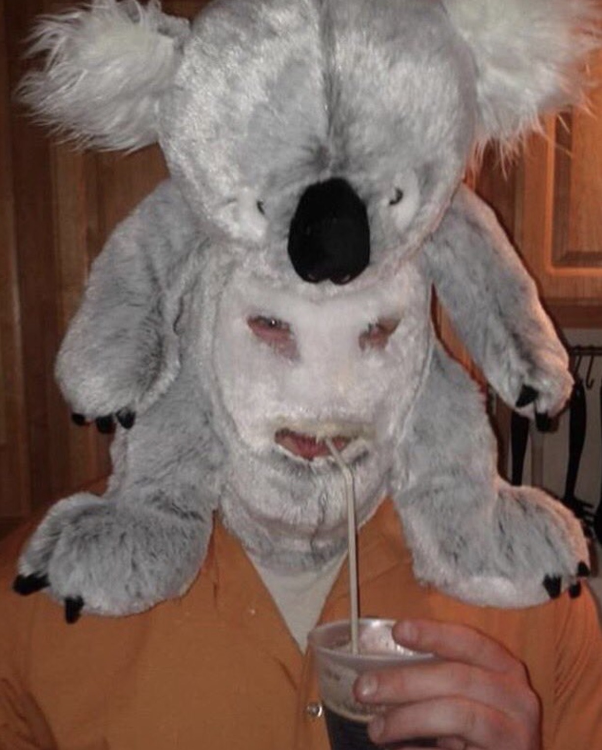 cursed teddy bear